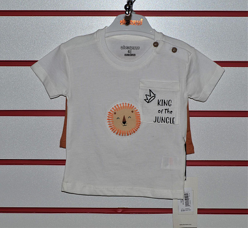 Костюм для мальчика футболка+шорты арт.7602-6