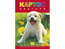 "VK" Набор картона цветной 10л 10 цв. А4ф-Белый щенок-
